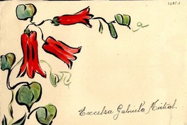 [Carta] 1954 sept., Chimbarongo, [Chile] [a] Gabriela Mistral