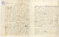 Enfermedad, muerte de Aníbal  [manuscrito] Senén Palacios.