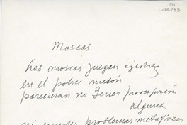 Moscas  [manuscrito] Sergio Hernández.
