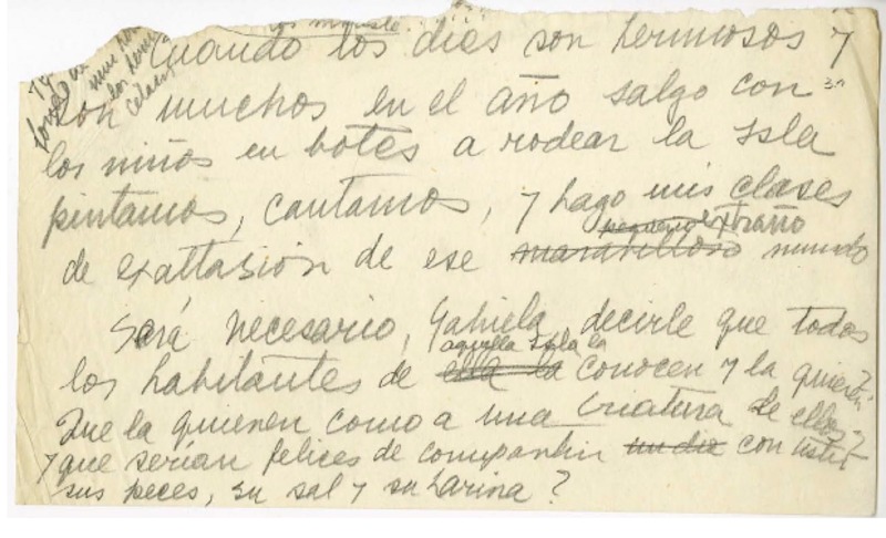 [Siete años en Magallanes...]  [manuscrito] Laura Rodig.