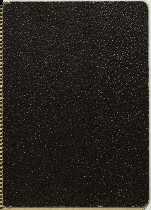 [Cuaderno de filosofía y poesía]  [manuscrito] Matilde Ladrón de Guevara.