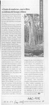 "Llanto de maderas", nuevo libro en defensa del bosque chileno  [artículo].