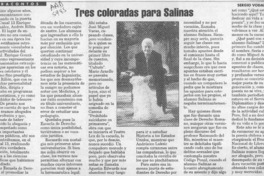 Tres coloradas para Salinas  [artículo] Sergio Vodanovic.