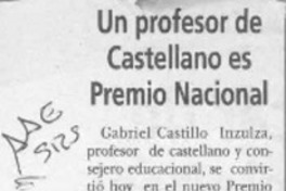 Un Profesor de castellano es Premio Nacional  [artículo].