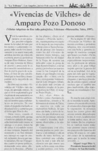 "Vivencias en Vilches" de Amparo Pozo Donoso  [artículo] Miguel Angel Díaz A.