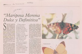 "Mariposa morena dulce y definitiva"