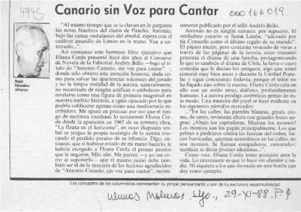Canario sin voz para cantar  [artículo] Raúl Morales Alvarez.