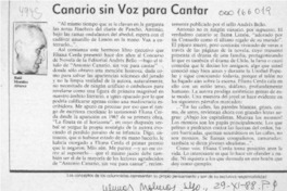 Canario sin voz para cantar  [artículo] Raúl Morales Alvarez.