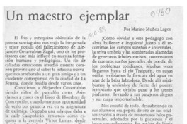Un maestro ejemplar  [artículo] Marino Muñoz Lagos.