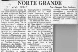 Norte grande  [artículo] Eduardo Díaz Espinoza.