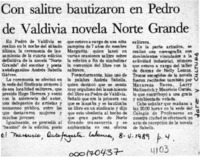 Con salitre bautizaron en Pedro de Valdivia novela Norte Grande  [artículo].