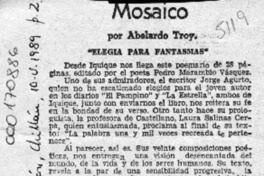 Mosaico  [artículo] Abelardo Troy.