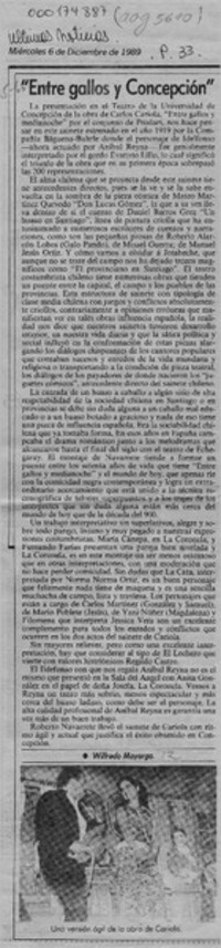 "Entre gallos y Concepción"  [artículo] Wilfredo Mayorga.
