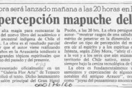 Revelan percepción mapuche del mundo  [artículo].