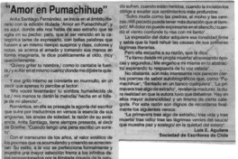 "Amor en Pumachihue"  [artículo] Luis E. Aguilera.