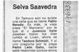 Selva Saavedra  [artículo] Ligeia Balladares.