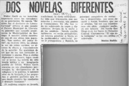 Dos novelas diferentes  [artículo] Matías Rafide.