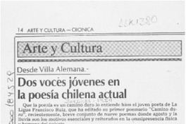 Dos voces jóvenes en la poesía chilena actual  [artículo] Pedro Mardones Barrientos.