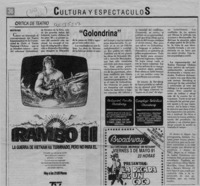 "Golondrina"  [artículo] Martín Ruiz.
