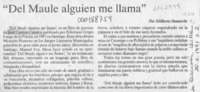 "Del Maule alguien me llama"  [artículo] Edilberto Domarchi.