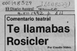 Te llamabas Rosicler  [artículo] Claudio Núñez.