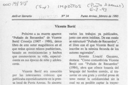 Vicente Boric  [artículo].