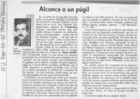 Alcance a un púgil  [artículo] Luis Sánchez Latorre.