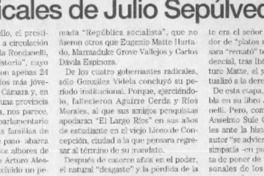 Los radicales de Julio Sepúlveda  [artículo] Sergio Ramón Fuentealaba.