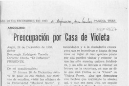 Preocupación por casa de Violeta  [artículo] Termutes Henríquez Toledo.