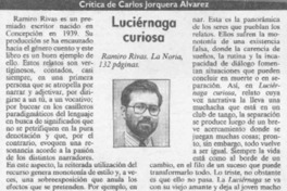 Luciérnaga curiosa  [artículo] Carlos Jorquera Alvarez.