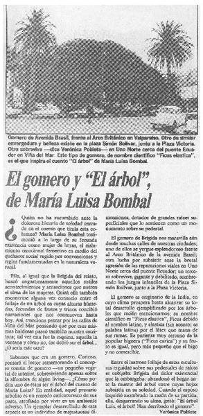El gomero y "El árbol" de María Luisa Bombal