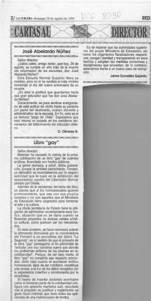 Libro "gay"  [artículo] Jaime González Gajardo.