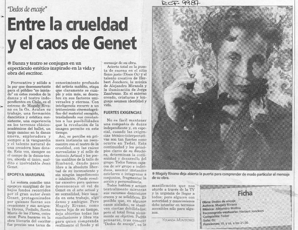 Entre la crueldad y el caos de Genet  [artículo] Yolanda Montecinos.