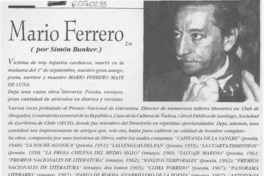 Mario Ferrero  [artículo] Simón Bunker.