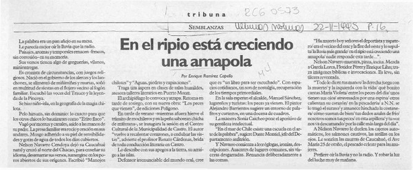En el ripio está creciendo una amapola  [artículo] Enrique Ramírez Capello.