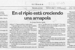 En el ripio está creciendo una amapola  [artículo] Enrique Ramírez Capello.