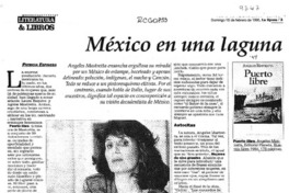 México en una laguna  [artículo] Patricia Espinosa.