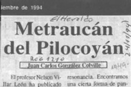 Metraucán del Pilocoyán  [artículo] Juan Carlos González Colville.