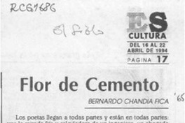 Flor de cemento  [artículo] Bernardo Chandía Fica.