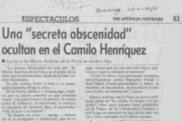 Una "Secreta obscenidad" ocultan en el Camilo Henríquez