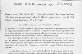 Chile 1989-1992, "libro de escombros"  [artículo] Ricardo Loebell S.