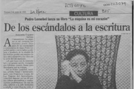De los escándalos a la escritura  [artículo] Alejandra Gajardo.