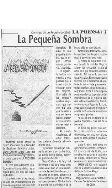 La pequeña sombra  [artículo] Jorge Arturo Flores Pinochet