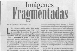 Imágenes fragmentadas  [artículo] María Ester Martínez Sanz