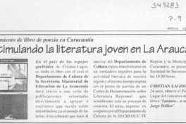 Estimulando la literatura joven en La Araucanía  [artículo]