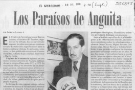 Los paraísos de Anguita  [artículo] Patricio Lizama A.