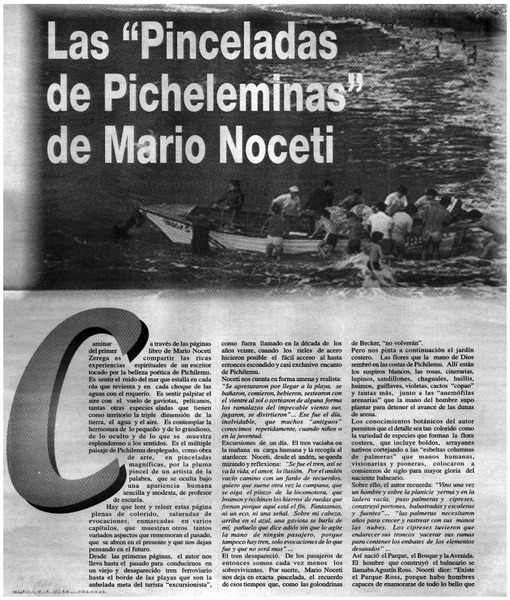 Las "pinceladas de pichileminas" de Mario Noceti