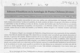 Esbozos filosóficos en la Antología de Poetas chilenos jóvenes  [artículo] María José Etcheverry Iturra