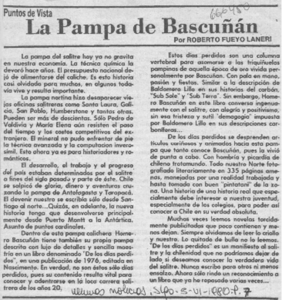 La pampa de Bascuñán