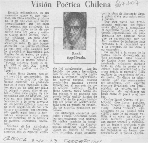 Visión poética chilena